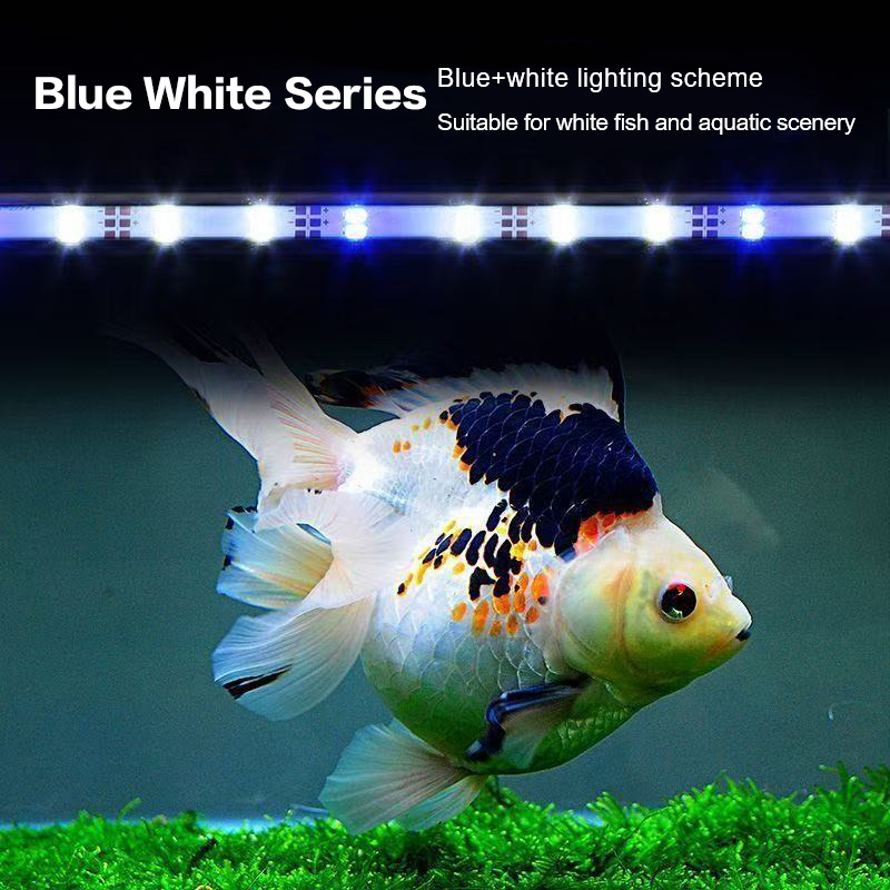 Lampa akwariowa LED z wtyczką  – Aquarium Marine Lights recenzja i cena