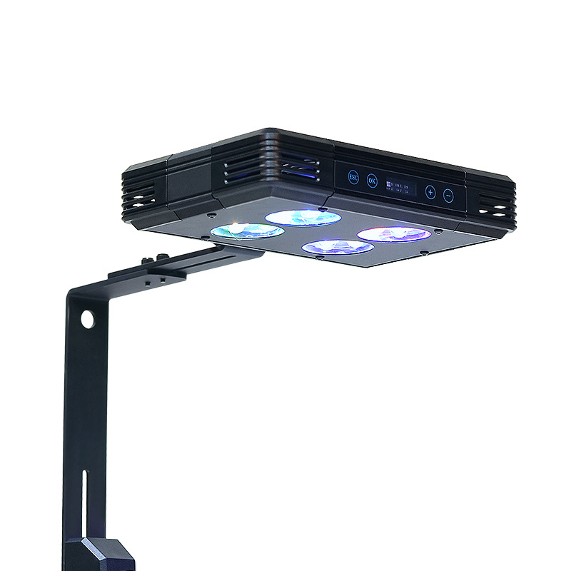 Lampa LED do akwarium rafowego – Reef Lighting recenzja i cena