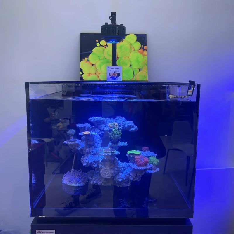 A7S III WiFi Sterowanie Aplika – Reef Lighting recenzja i cena