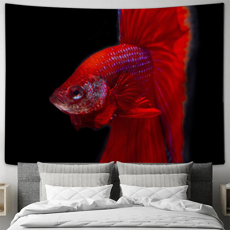 Żywy Czerwony Betta Ryba Gobel – Ocean Aquarium recenzja i cena